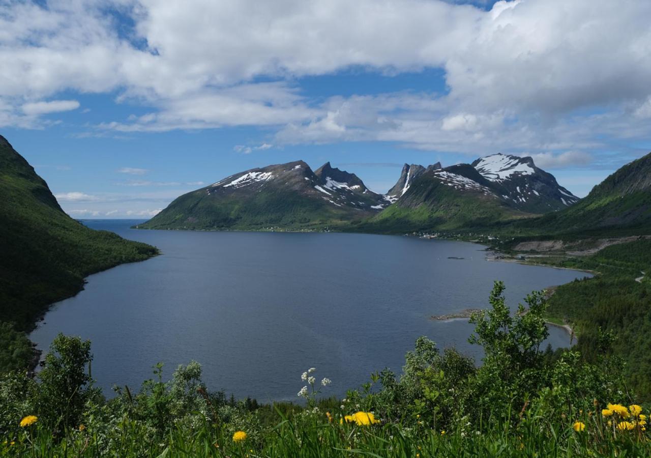 Destination Senja - Skaland Exterior foto