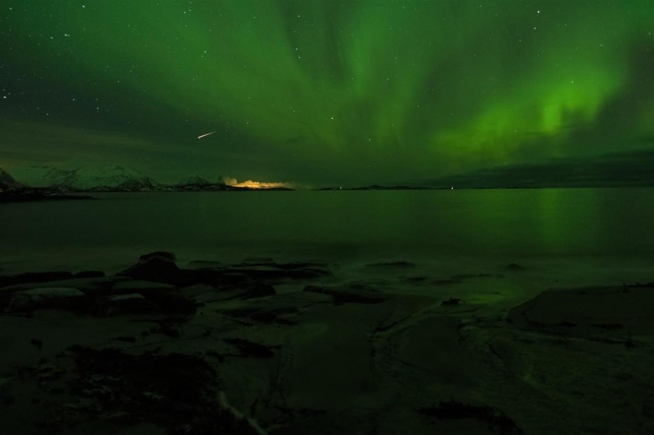 Destination Senja - Skaland Exterior foto