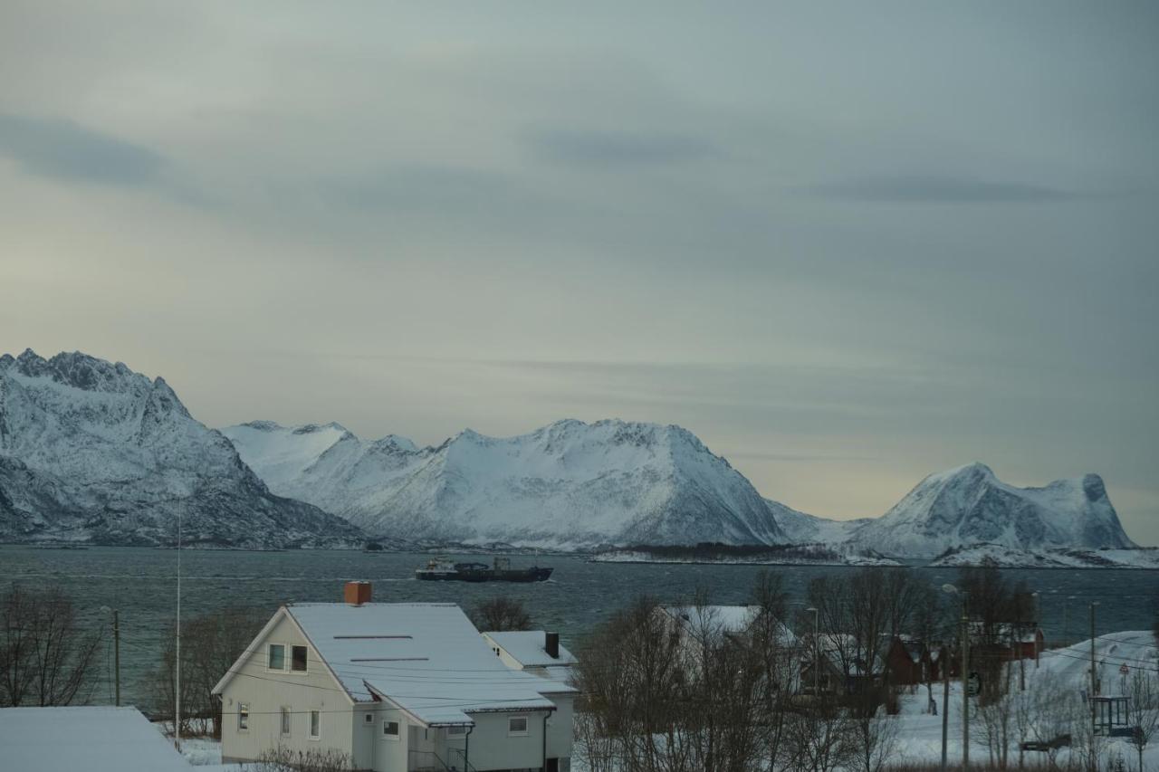 Destination Senja - Skaland Exterior foto